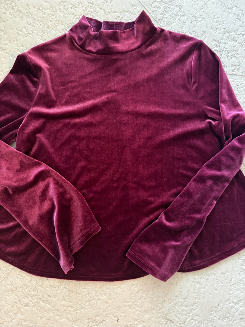 Velvet Mock Neck Long-Sleeve Top in Wine
